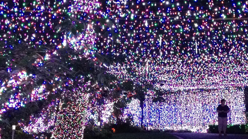 Illustration for article titled This Blinding 502,165 Christmas Light Display Is in Someone's Home